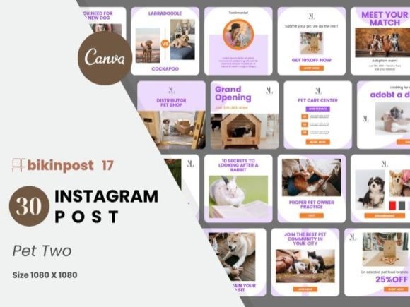 Download Pet Two Canva Instagram Post Template - Instagram Collection