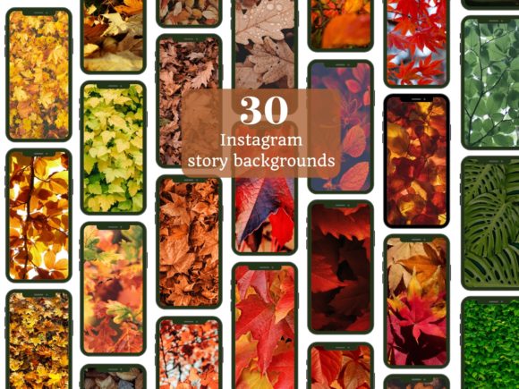 Download Autumn Leaves Instagram Story Background - Instagram story Collection